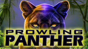 Play For Free Prowling Panther Slot Machine Online